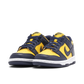Nike Dunk Low Michigan (GS)
