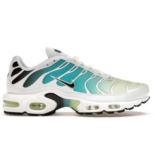 Nike Air Max Plus Dusty Cactus